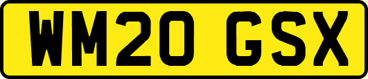WM20GSX