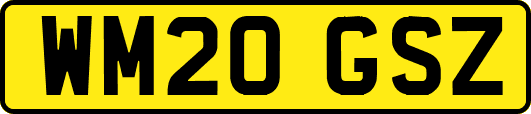 WM20GSZ