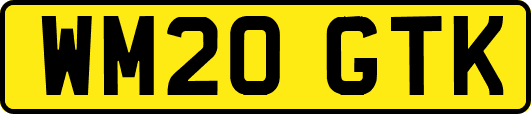 WM20GTK