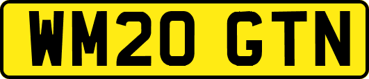 WM20GTN