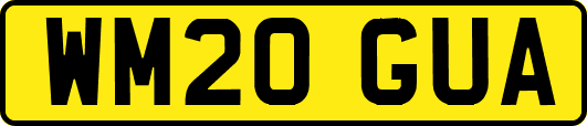 WM20GUA