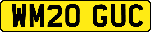 WM20GUC
