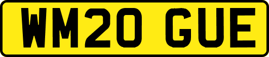 WM20GUE