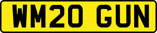 WM20GUN