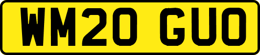 WM20GUO