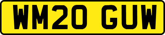 WM20GUW