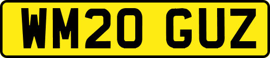 WM20GUZ