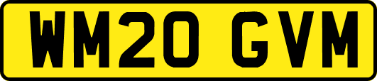 WM20GVM