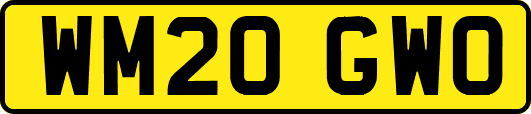 WM20GWO
