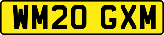 WM20GXM