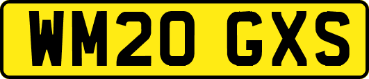 WM20GXS