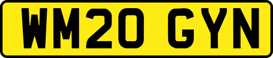 WM20GYN
