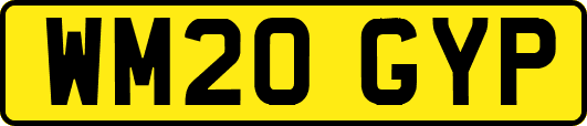 WM20GYP