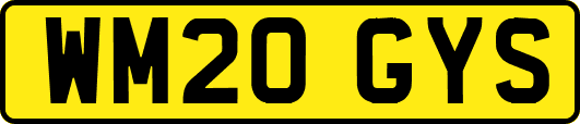 WM20GYS