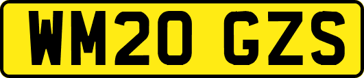 WM20GZS