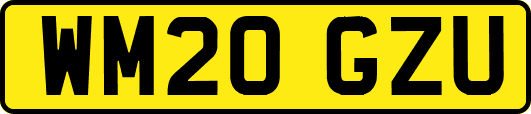 WM20GZU