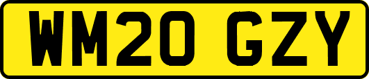 WM20GZY
