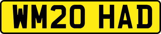 WM20HAD