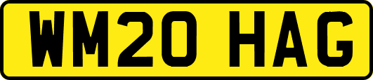 WM20HAG