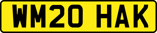 WM20HAK