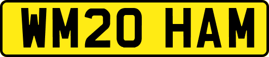 WM20HAM