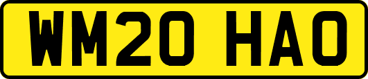 WM20HAO