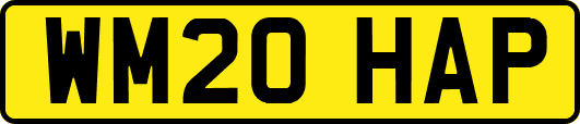 WM20HAP