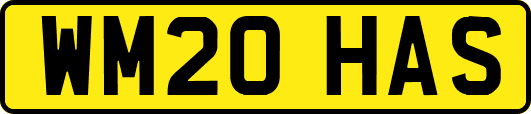 WM20HAS