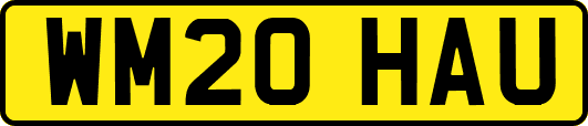 WM20HAU