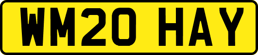 WM20HAY