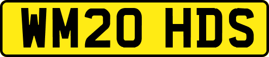 WM20HDS