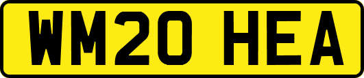WM20HEA