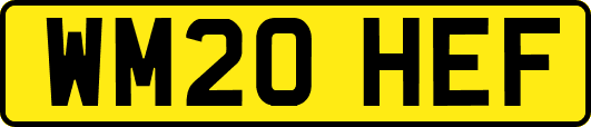 WM20HEF