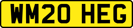 WM20HEG