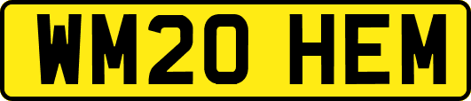 WM20HEM