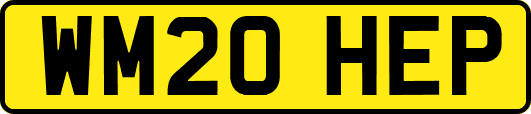 WM20HEP