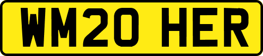 WM20HER