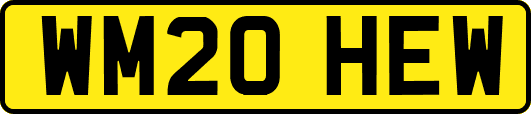 WM20HEW