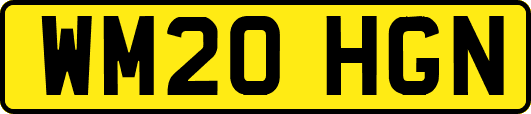 WM20HGN