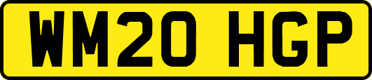 WM20HGP