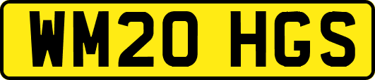 WM20HGS