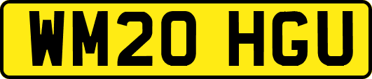 WM20HGU
