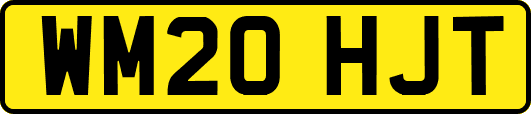 WM20HJT