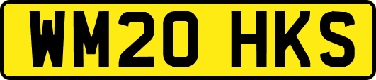 WM20HKS