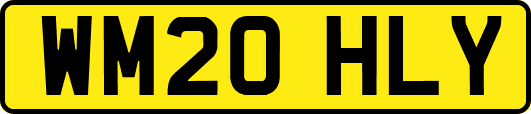WM20HLY