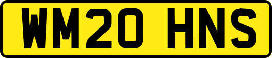 WM20HNS