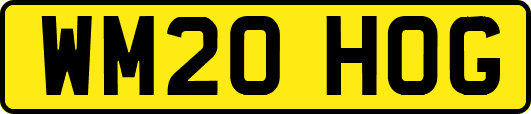 WM20HOG