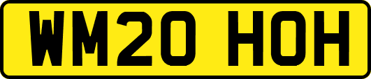 WM20HOH