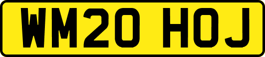 WM20HOJ