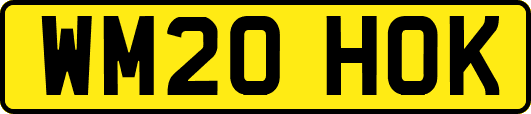 WM20HOK
